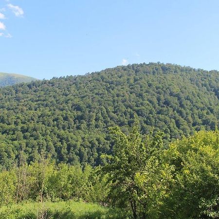 Family & Friends Guest House Dilijan Bagian luar foto