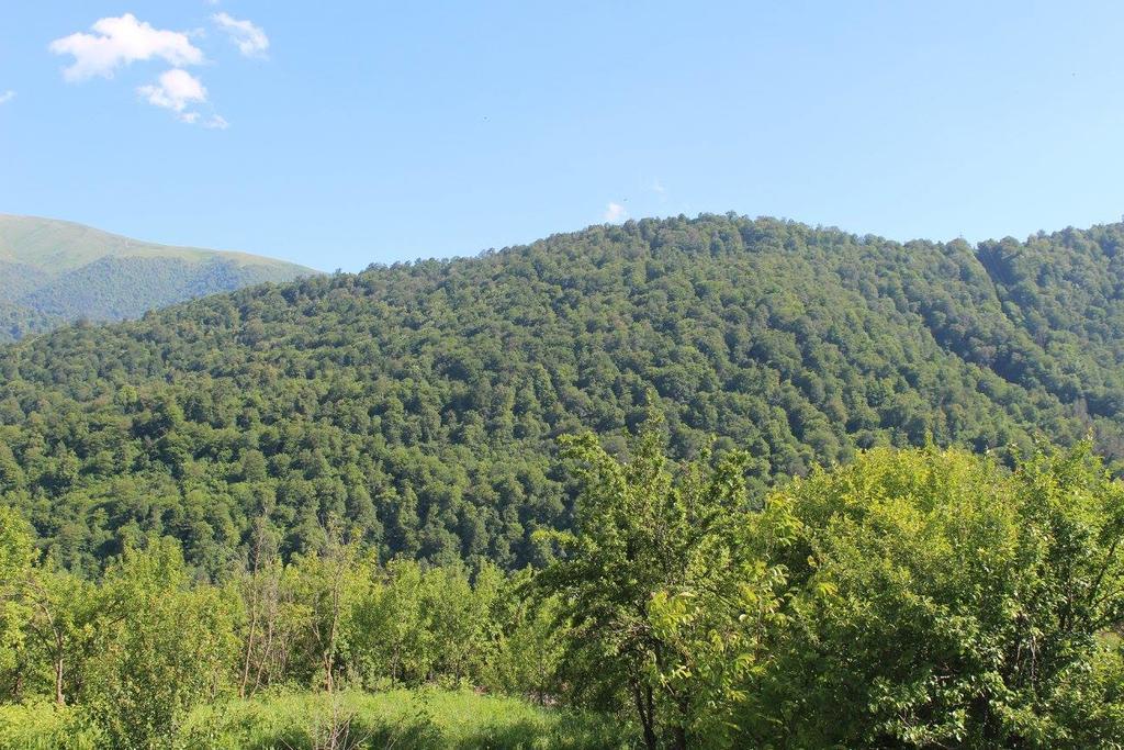 Family & Friends Guest House Dilijan Bagian luar foto